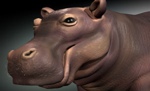Maya Tutorial: The Hippopotamus Project